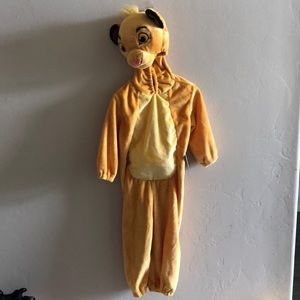 Lion king costume